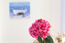 Banana House - Nea Vrasna - Rooms to Let